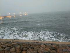 -日照海滨国家森林公园