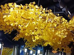 -江南韵·无锡太湖文化体验餐厅(凤凰天街店)
