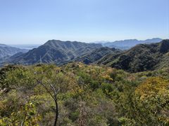 -大岭沟猕猴桃谷风景区