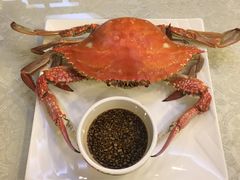 -北塘海鲜·天津菜(大光明桥旗舰店)