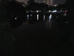 -金砂公园