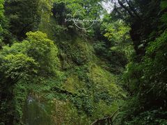 -青城山