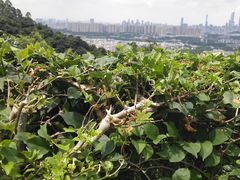 -火炉山森林公园