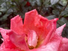 -大望路(地铁站)