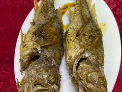 -蛇口康乐快餐鱼仔档(翠苑小区店)