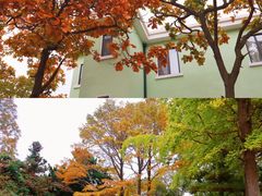 -八大关景区