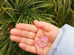 -杭州植物园