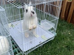 -怡咖啡·自助餐·西安香格里拉