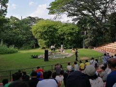 -新加坡飞禽公园