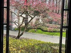 -杭州西湖柳莺里酒店·闻莺厅