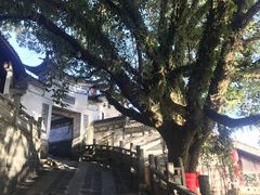 -娄山关景区