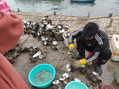 -文昌铺前老街