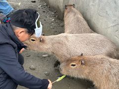 -成都欢乐谷