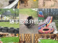 -前小桔亲子创意农场·草莓采摘·露营烧烤