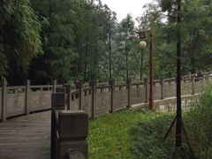-重庆彩云湖湿地公园
