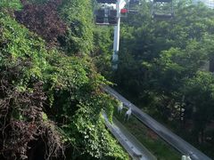 -富斯特索道
