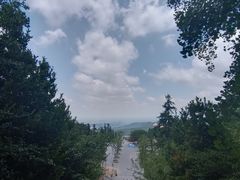 -冶父山国家森林公园