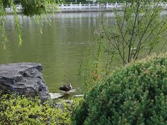 -西宁市人民公园(城西区)