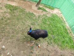 -西霞口神雕山野生动物世界