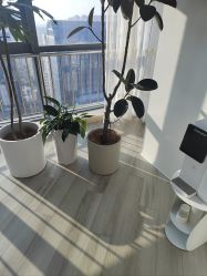 -HEYAN荷妍专业脱毛连锁机构