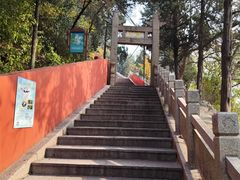 -孤山景区-孤山寺