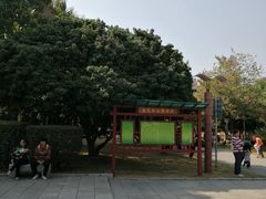 -金花茶公园
