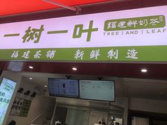 -一树一叶·福建茶档(石鼓路店)