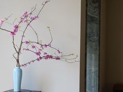 -见山茶事(丽水路店)