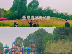 -秀丽东方