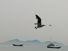 -棒棰岛宾馆景区