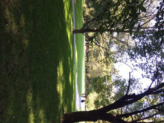 iphone_upload_pic-紫竹院公园冰场
