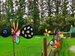 -前小桔亲子创意农场·草莓采摘·露营烧烤