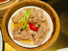 -南枝记