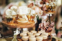 -DNA Wedding 婚礼记(上海店)