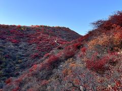 -水峪民俗村