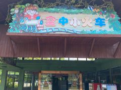 -海南槟榔谷黎苗文化旅游区