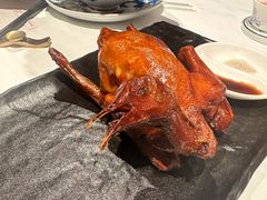 -侨美食家·40年地道粤菜(珠江新城店)