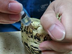 -安安宠医·安宠宠物医院