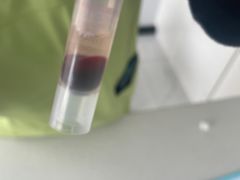 -艾吉宠物医院·疑难杂症转诊中心·猫友好(碧江路院)
