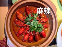 -梧桐