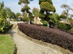 -武汉紫薇都市田园