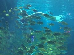 -福州罗源湾海洋世界旅游区