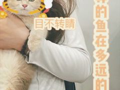 -袖虎·猫馆(体育西路店)
