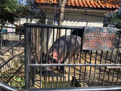 -昆明动物园