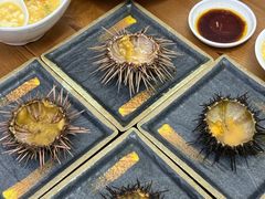 -海胆小馆(东北水饺·春柳店)