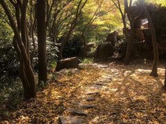 -秋霞圃