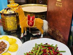 -蒙古大营(朝阳公园店)
