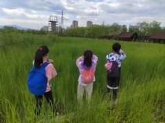 -永定河休闲森林公园