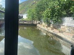 -荷塘味道(水长城店)