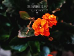 景观位-三岔涧农家乐